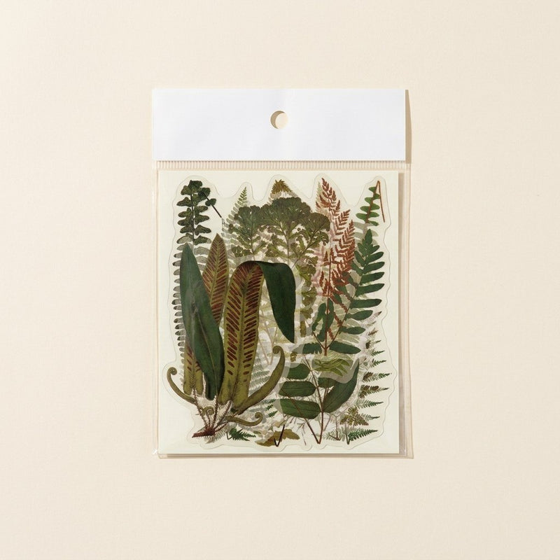 Fern Club