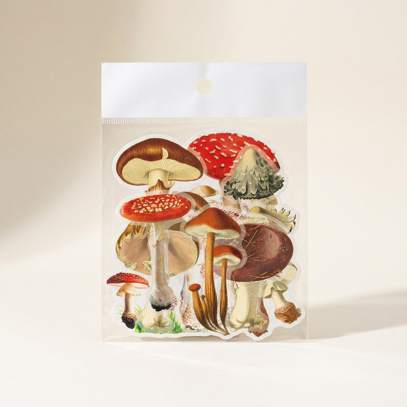 Mushroom Mood